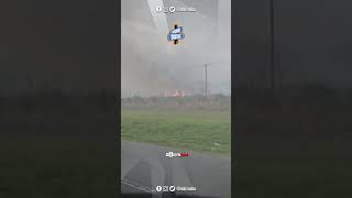 😠 MALESTAR por los quotINCENDIOS PROGRAMADOSquot 🔥 por Bomberos a la vera de la Ruta11 en SanBernardo [upl. by Daffie]