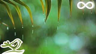 You amp Me Relaxing Piano Music amp Soft Rain Sounds For Sleep amp Relaxation by Peder B Helland [upl. by Aramahs]