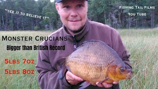 The Crucian Carp featuring footage of Huge Crucian Carp from Lake Ursjon in Sweden cruciancarp [upl. by Anaira]