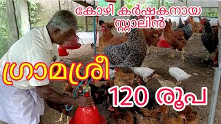 stanly poultry farming നാടൻ കോഴികൾ media craftPOULTRY FARMING KERALAgramasree chicken [upl. by Aicrag]