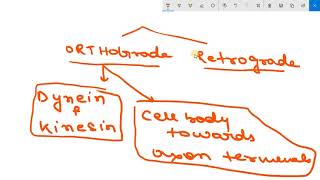 AXONAL TRANSPORT  ORTHOGRADE AND RETROGADE TRANSPORT [upl. by Enerod]