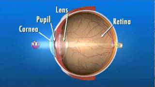 How the Eye Works [upl. by Attecnoc]