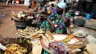 Discover the Untamed Life of the Local Market  ARUSHA TANZANIA  Safari Gateway [upl. by Niltac791]