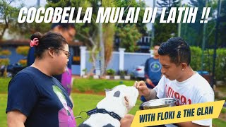 COCOBELLA MULAI DI LATIH DAN SERU  SERUAN BERENANG [upl. by Kei328]