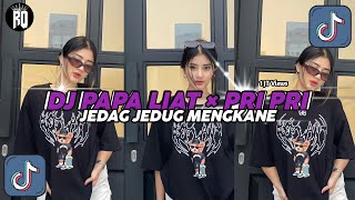 DJ PAPA LIAT X PRI PRI VIRAL TIKTOK JEDAG JEDUG MENGKANEUN [upl. by Linnea]