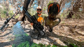 Cacería de CHACHALACAS o Cuichis en AGUAS TERMALES con rifle PCP [upl. by Moth]