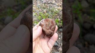 🤯👀 EPIC AGATE FIND 👀🤯 agate rockhounding rocks geology nature beachcombing shorts [upl. by Isidro512]