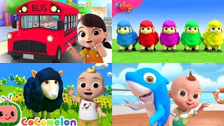 Learn Colors  Baa Baa Black Sheep Song Learn ABCD Nursery Rhymes amp Kids Songs Twinkle Twinkle Shark [upl. by Serafina]