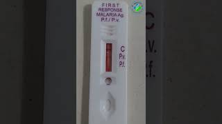 Malaria rapid diagnostic test  Malaria antigen test  Maleria test  plasmodium MP [upl. by Gnolb]