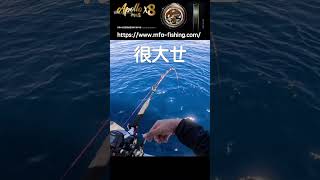 300塊換破萬魚？小魚換大魚！活餌 釣魚 刺激 [upl. by Einittirb]