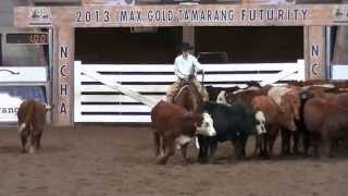 2013 NCHA Youth Cutting Todd Mulcahy amp EBs Phalaris [upl. by Farica]