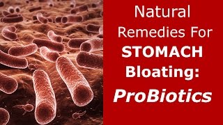 Natural Remedies for Stomach Bloating Probiotics [upl. by Haelhsa593]