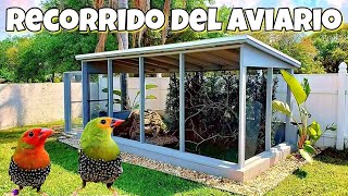 Aviario de Pajaros  Aves Exoticas   Voladero Natural [upl. by Ettezel]