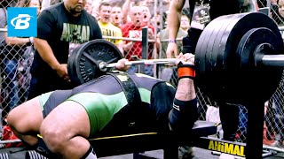 Bench Press Basics  Elite Powerlifter Rob Hall [upl. by Tanny]