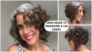 CÓMO HACER TU TRANSICIÓN A LAS CANAS  CONSEJOS  GREY HAIR [upl. by Boesch]