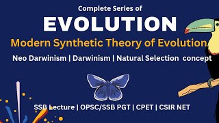 Modern Synthetic Theory of Evolution  Neo Darwinism  Darwinism  Natural Selection Notes [upl. by Neicul]