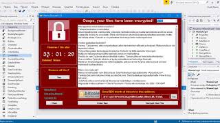 WANNACRY SOURCE CODE  CLONE [upl. by Ayekram]