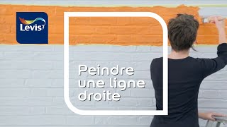 COMMENT PEINDRE UNE LIGNE DROITE SUR UN MUR DE BRIQUES [upl. by Hametaf]