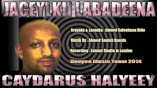 CAYDARUS HALYEEY HEES CUSUB  JACEYLKII LABADEENA  2014 [upl. by Tina]