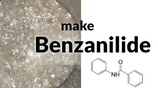 Benzanilide  Schotten Baumann Benzoylation [upl. by Nimajneb754]