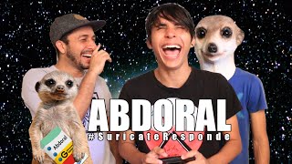 Abdoral  SuricateResponde 6 [upl. by Etnovahs]