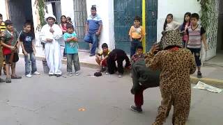 matanza de leopardo danza de la vaca loca san isidro [upl. by Dorine]