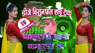 Kabutri Bole Kabutar Se Super Dholki Mix Dj Vishnupal [upl. by Ilsa]