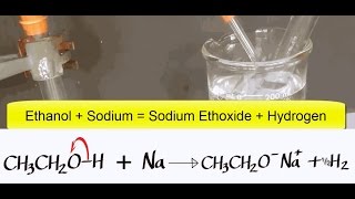 Alcohols Advanced 7 Ethanol reacting with Sodium [upl. by Yenal]