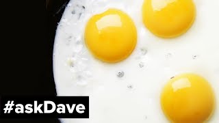 36 EGGS A DAY askDave [upl. by Arraeit]