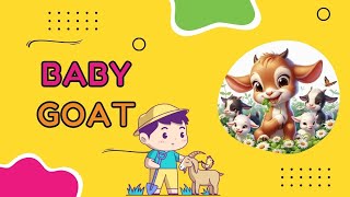 Baby Goat  Nursery Rhymes amp Kids Songs [upl. by Alaek107]