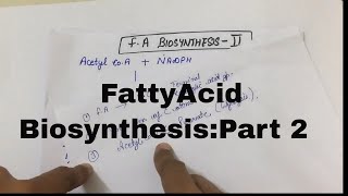 Fatty Acid BiosynthesisPart 2 [upl. by Edyak753]