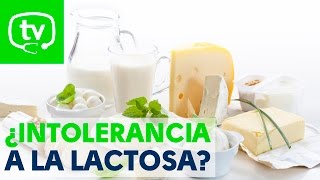 Soy intolerante a la lactosa ¿qué puedo hacer [upl. by Ifok]