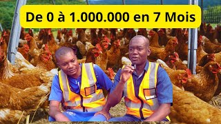 De 0 à 1 000 000 en Elevage des POULES PONDEUSES au Congo [upl. by Hafinah]