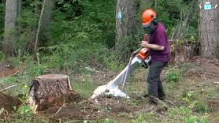 Alpine Magnum Portable Stump Grinder [upl. by Eirrehs]