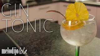 Aprende a preparar un Gin Tonic como profesional  A comer y a tomar que el mundo se va a acabar [upl. by Tloc]