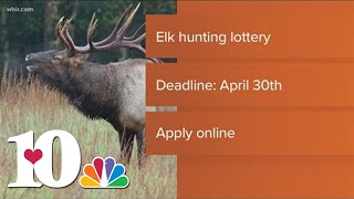 Kentucky elk hunting lottery begins soon [upl. by Wadell28]