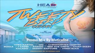 Tweety Bird Riddim Mix Head Concussion Records Dancehall Maticalise [upl. by Sirod]