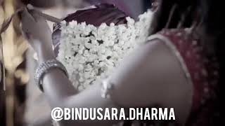 Bindusara dharma [upl. by Aidnyc]