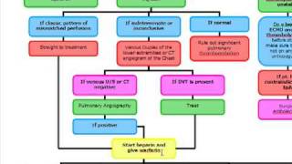 Pulmonary Embolus Algorithm [upl. by Merce325]