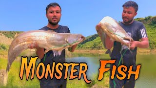 Catching a Monster CATFISH  Mangla Dam Fateh Pur Lake  Exciting Adventure [upl. by Rehctelf]