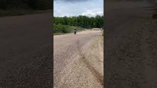 YZ450F top speed [upl. by Euridice474]