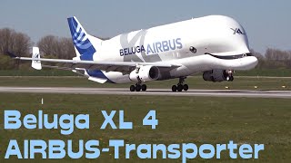 AIRBUS BELUGA XL 4  Landing amp Takeoff at Airbus Factory Hamburg [upl. by Aitnas]