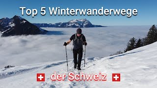 Die 5 schönsten Winterwanderwege der Schweiz [upl. by Liamaj686]