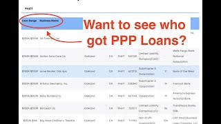 Search All PPP Loan Data  PPP Loan Recipient Names Locations Amounts [upl. by Nytsua954]