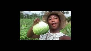 GROWTH AGRIC BY SAMSON AYOMIDE UMAHONLEN [upl. by Schwartz367]