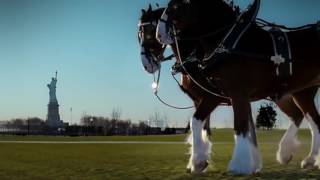 Budweiser Clydesdales 911 Tribute Ad Super Bowl 2011 [upl. by Lorens747]