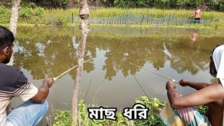 catching fish video🎣best hook fishing in village pond🎣Traditional fishing life [upl. by Enavi]