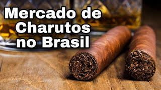 Dicas de compras de Charutos  Mercado de Charutos no Brasil [upl. by Minsk644]