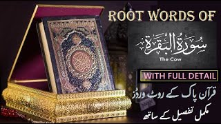 Surah Al Baqarah 17  Root Words of Quran  in urdu and hindi [upl. by Aikan]