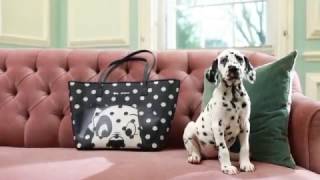 Introducing 101 Dalmatians x Cath Kidston [upl. by Bornstein]